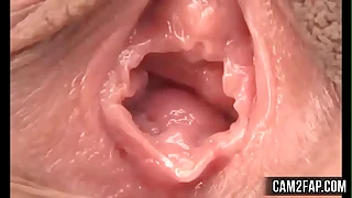 3681 lick porn videos